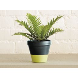 Ronseal 750ml Blackbird Matt Garden Paint