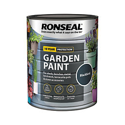 Ronseal Garden Paint Matt Blackbird 0.75Ltr