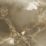 Wilsonart Aurora Gold Splashback 800mm x 900mm x 4mm