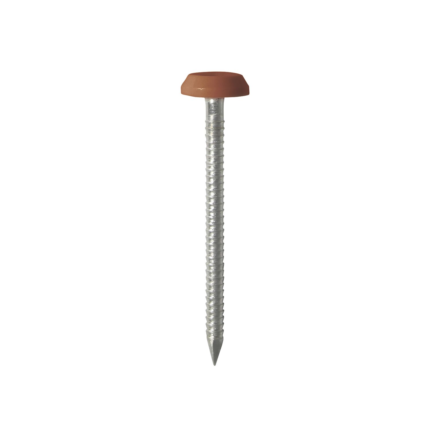 Timco Polymer-Headed Nails Clay Brown Head A4 Stainless Steel Shank 3.2mm x 50mm 100 Pack (235KF)