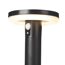 4lite Antheia Outdoor LED Solar-Powered Decorative Spike Light With PIR Sensor Black 260lm