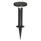 4lite Antheia Outdoor LED Solar-Powered Decorative Spike Light With PIR Sensor Black 260lm