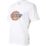 Dickies  Short Sleeve T-Shirt White Small 20" Chest