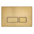 Quad Dual-Flush Flushing Plate Brushed Brass