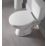Soft-Close with Quick-Release Toilet Seat Duraplast White