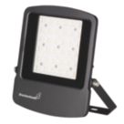 Brackenheath Rex Indoor & Outdoor LED Floodlight Black 100W 12,000lm