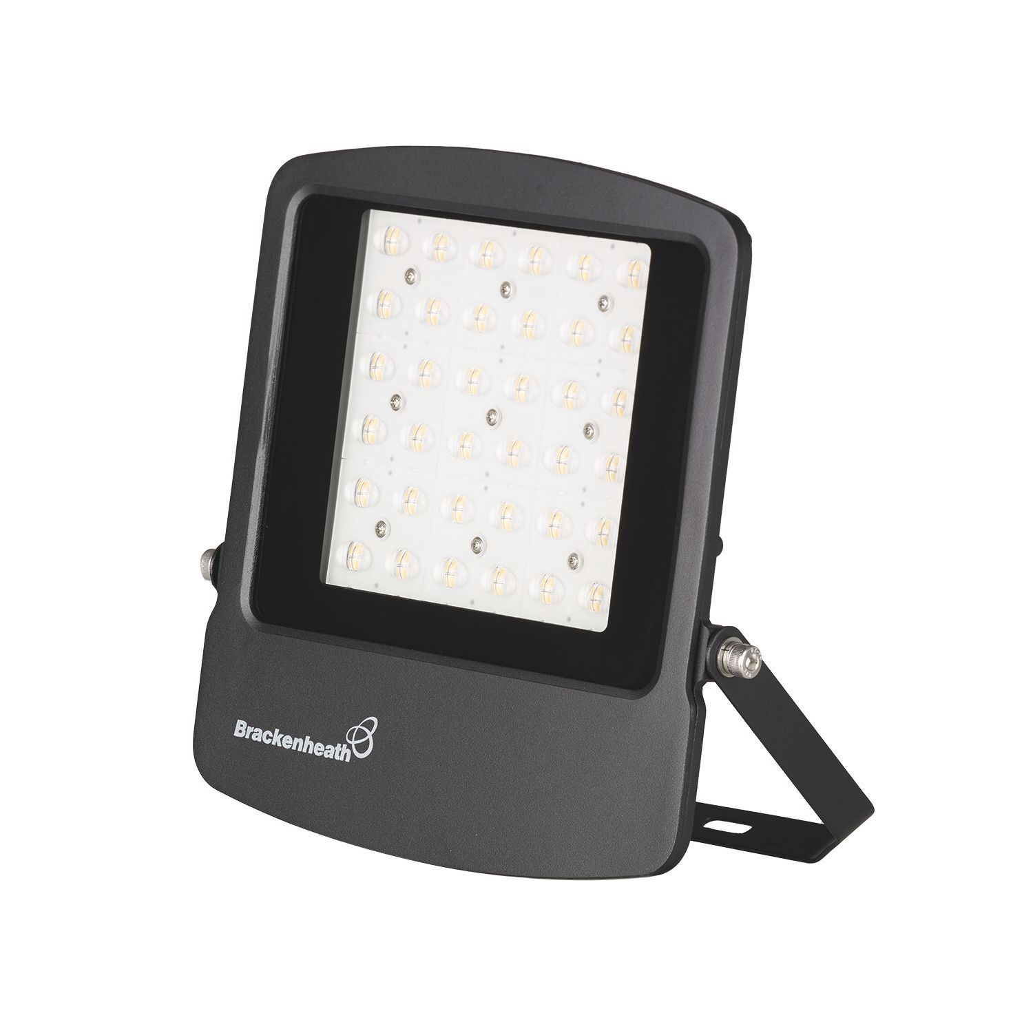 Brackenheath Rex Indoor & Outdoor LED Floodlight Black 100W 12,000lm (241TW)