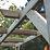 Forest Classic 7' x 7' (Nominal) Timber Arch