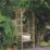 Forest Palma 4' x 2' (Nominal) Flat Timber Arbour