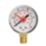 Flomasta Bottom Connection Pressure Gauge 10bar
