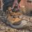 DEWALT Foundry Size 9  Wheat Waterproof Steel Toe Cap Safety Boots