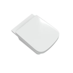 Florida Soft-Close Rimless Back-to-Wall Toilet