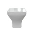 Florida Soft-Close Rimless Back-to-Wall Toilet