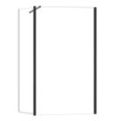 Triton Neo  Frameless Showerwall & Swivel Panel Black 1000mm x 2000mm