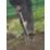 Spear & Jackson  Digging Fork
