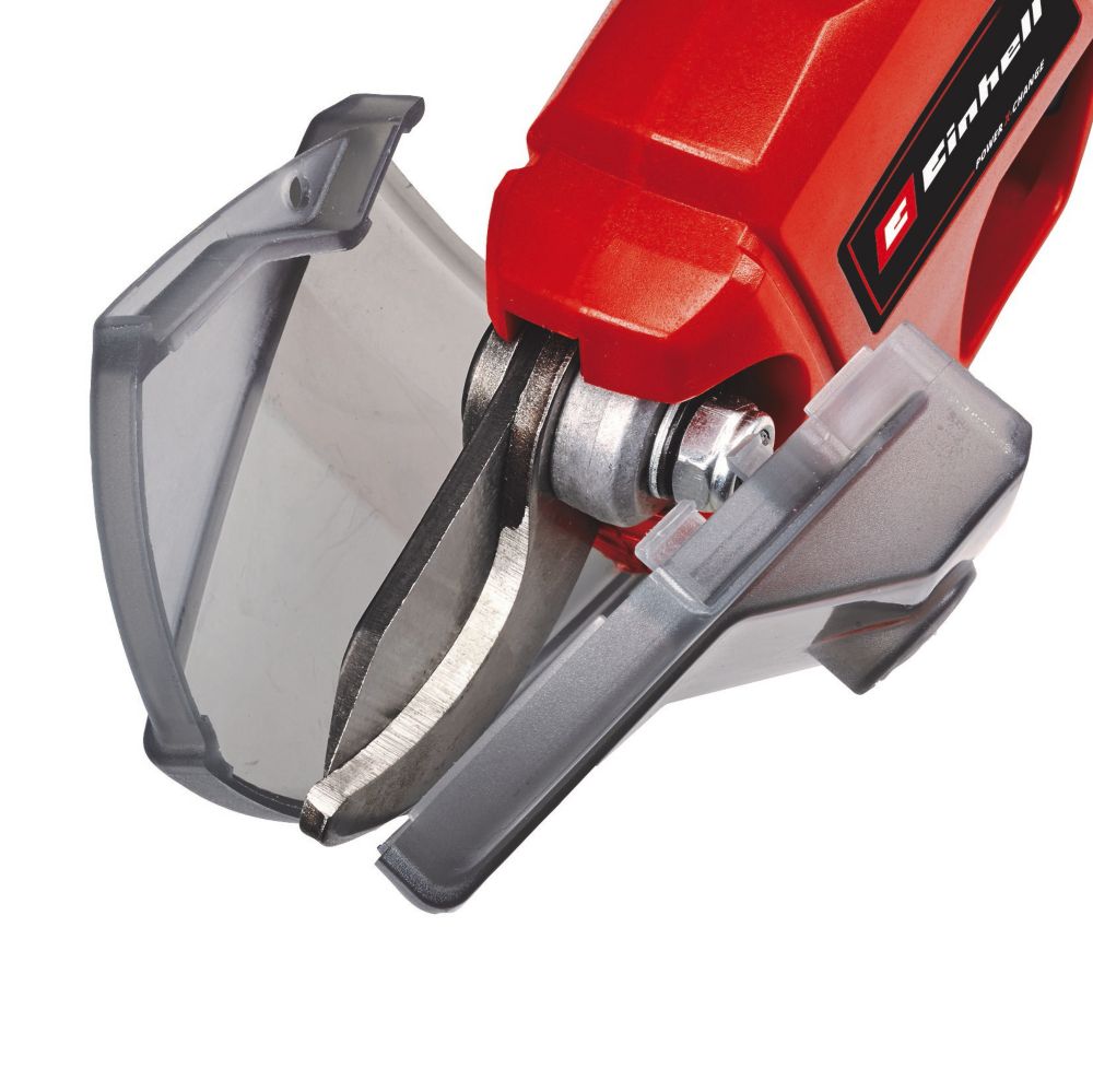 Einhell pruner online