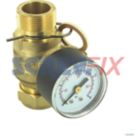 Ideal Heating 174559 GAUGE PACK  - C/W 22MM VALVE