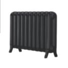 Arroll 549mm x 794mm 2900BTU Black Cast Iron 2 Column Radiator
