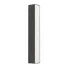 Eglo Salitta Outdoor LED Wall Light Black 9W 1080lm