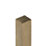 Forest Natural Timber Fence Posts 75mm x 75mm x 1800mm 3 Pack