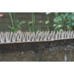 STV Pest Free Defenders Polypropylene Cat & Squirrel Fence Top Flat Prickle Strips 450mm 24 Pack