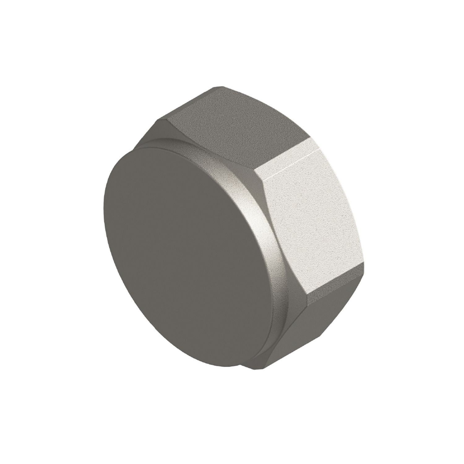 Warmup Blanking Cap 3/4" BSP F (277AC)