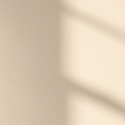 LickPro Max+ 5Ltr White BS 08 C 31 Matt Emulsion  Paint