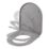 Tanaro Soft-Close with Quick-Release Toilet Seat Duraplast Grey