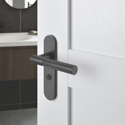 Cooke & Lewis Damgan WC Lever on Backplate Door Handles Pair Titanium