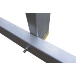 Lyte ProLyte 4.4m Extension Ladder