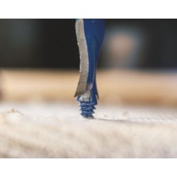 Bosch Expert Self Cut Speed Hex Shank  Flat Wood Spade Drill Bit Set 13 Pieces