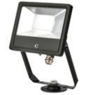 Collingwood  Indoor & Outdoor LED Residential Floodlight Black 20W 2200 / 2400 / 2400lm
