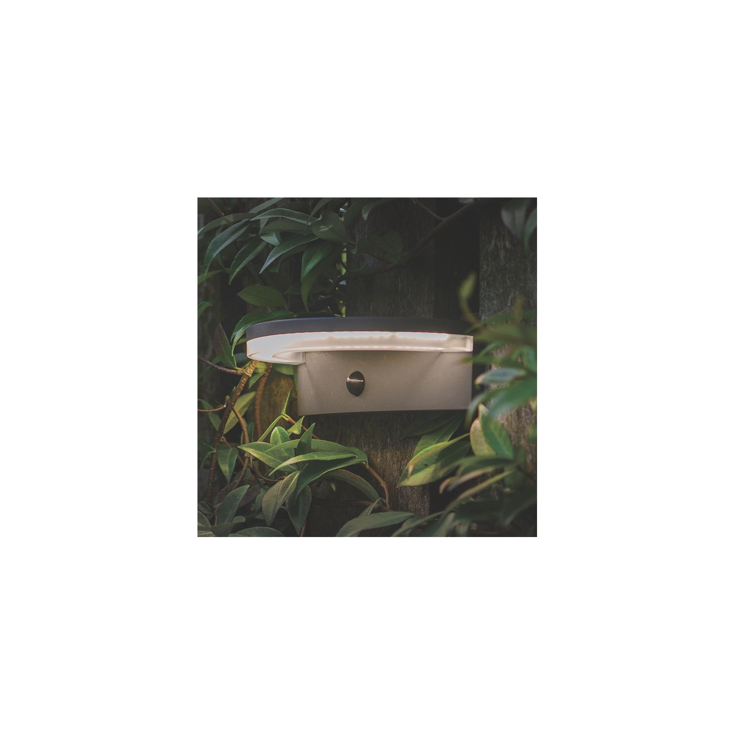 Lutec Vyzor Outdoor LED Solar Wall Light With PIR Sensor Dark Grey 1000lm (297EF)