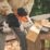 STIHL GTA 30 22V 2 x 28Wh Li-Ion AS System  Cordless 15cm Garden Pruner