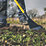 Roughneck Big Mutt Pro Demolition Heavy Duty Scraper 7"