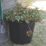 Faithfull  Polyethylene Flex Tub Black 25Ltr
