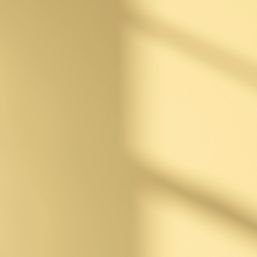 LickPro Max+ 5Ltr Yellow 08 Eggshell Emulsion  Paint