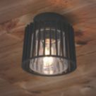 Lutec Shyne Indoor & Outdoor Ceiling Light  Black