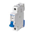 Chint NB1 40A SP C Curve  MCB