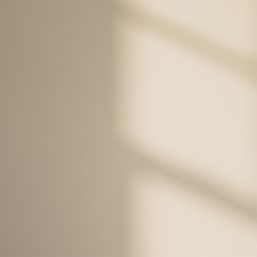 LickPro Max+ 1Ltr Beige 01 Matt Emulsion  Paint