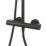 Swirl  Rear-Fed Exposed Black Thermostatic Concentric Mixer Shower with Diverter