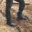 DeWalt Springfield Metal Free   Safety Boots Black Size 6