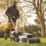 Titan TTI836LWM 18V 1 x 5.0Ah Li-Ion TXP Brushless Cordless 34cm Lawn Mower