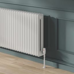Reina 600mm x 1000mm 5646BTU White Horizontal 2 Column Radiator