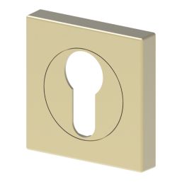 Cooke & Lewis Lormel Euro Escutcheon (Pair) Satin Brass 52mm