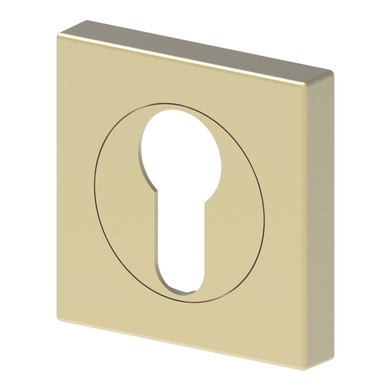 Cooke & Lewis Lormel Euro Escutcheon (Pair) Satin Brass 52mm (337CM)