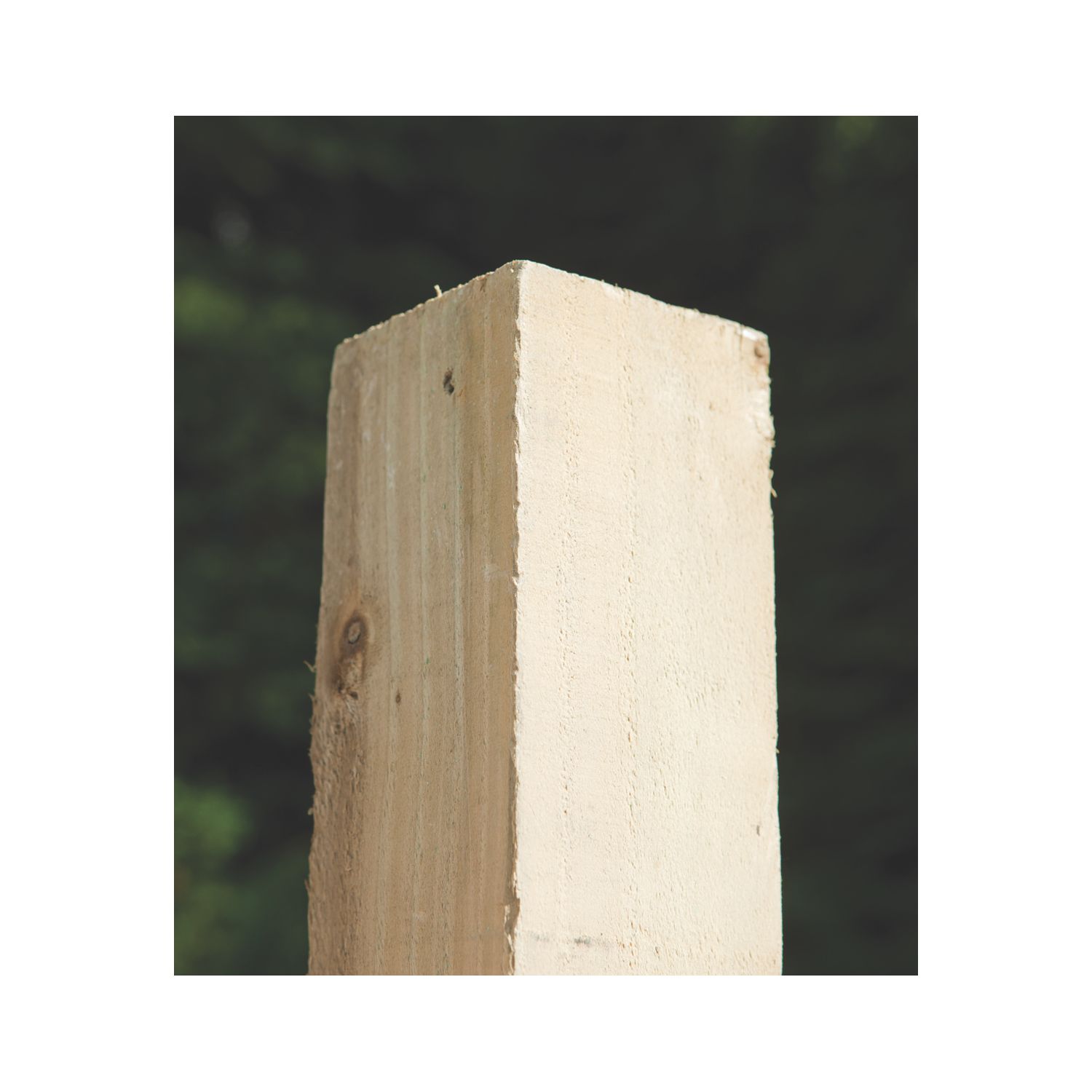 Forest Natural Timber Fence Posts 75mm x 75mm x 2.4m 6 Pack (34023)