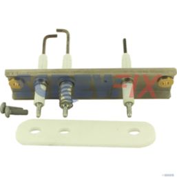 Worcester Bosch 8737709581 ELECTRODE WITH SPRING