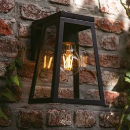 Lutec Fia Outdoor LED Solar Lantern Wall Light Black 200lm
