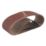 Titan  40 Grit Multi-Material Sanding Belts 533mm x 75mm 5 Pack